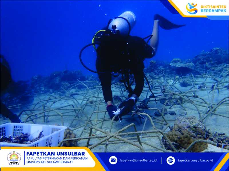 Dosen Jurusan Perikanan Berkolaborasi Dalam Restorasi Ekosistem Pesisir
